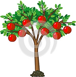 Apple tree with green leaves and ripe red fruits